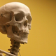 Illustration for article titled Preserved bacteria reveal how we've been rotting our teeth for 7,500 years